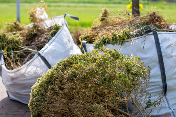 Best Construction Debris Removal  in Calumet City, IL