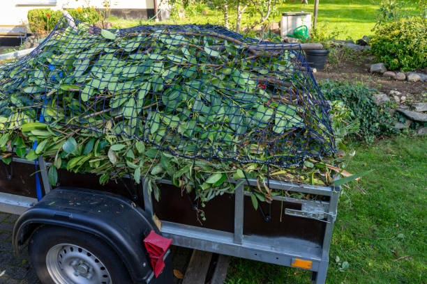 Best Moving and Downsizing Cleanouts  in Calumet City, IL